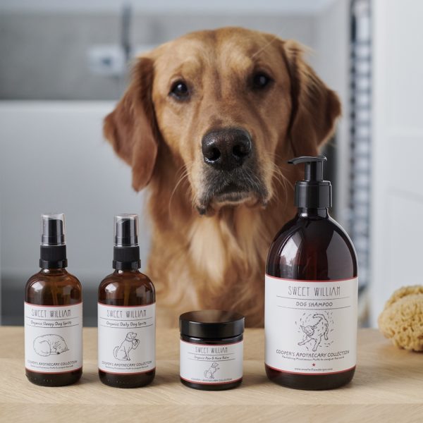 Sweet William Organic Dog Spritz - Image 3