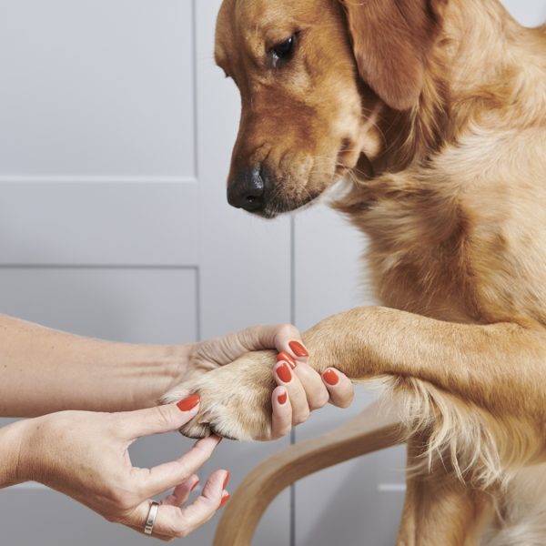 Organic Dog Paw And Nose Balm - Image 2