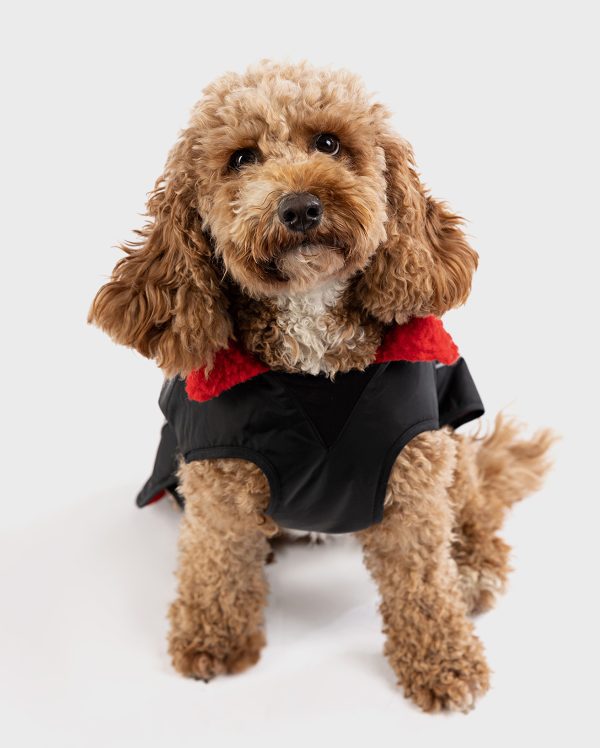 dryrobe Dog - Black Red - Image 3