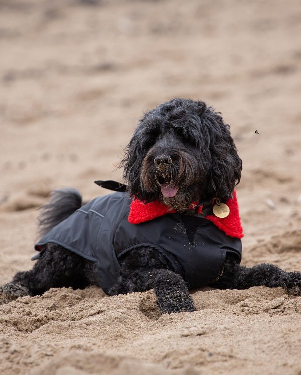 dryrobe Dog - Black Red