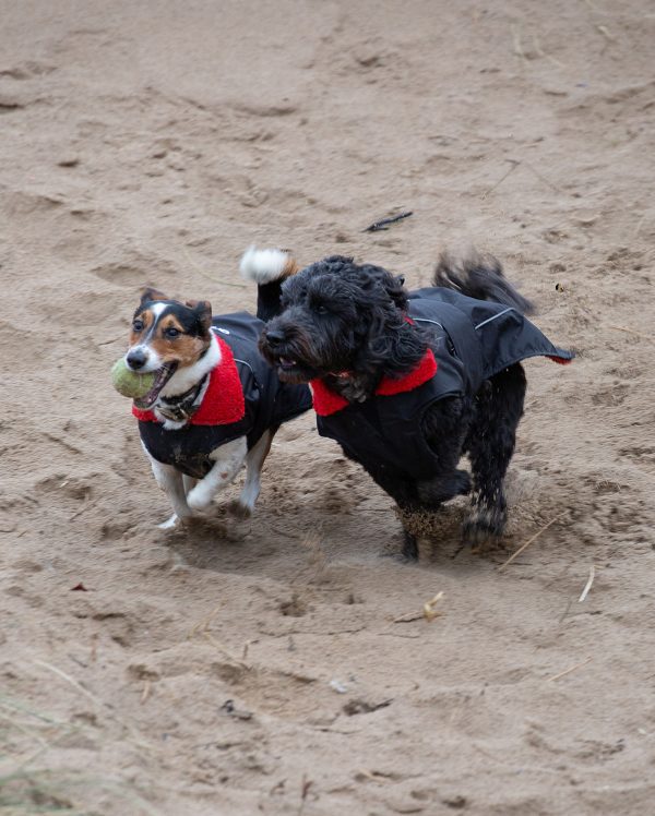 dryrobe Dog - Black Red - Image 8