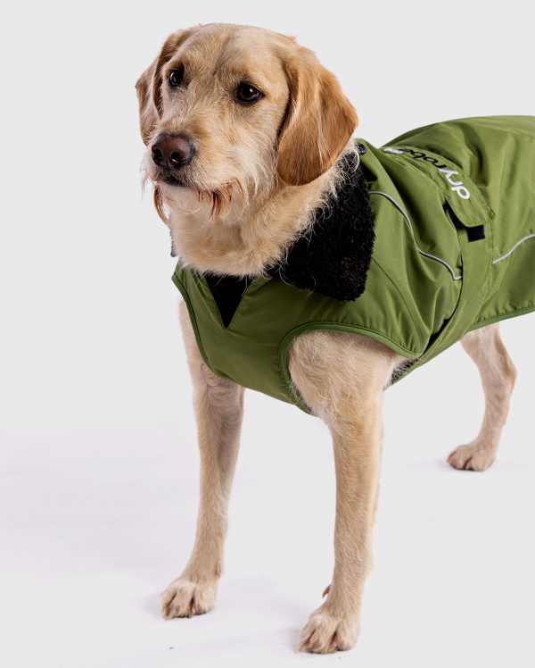 dryrobe Dog - Forest Green Black