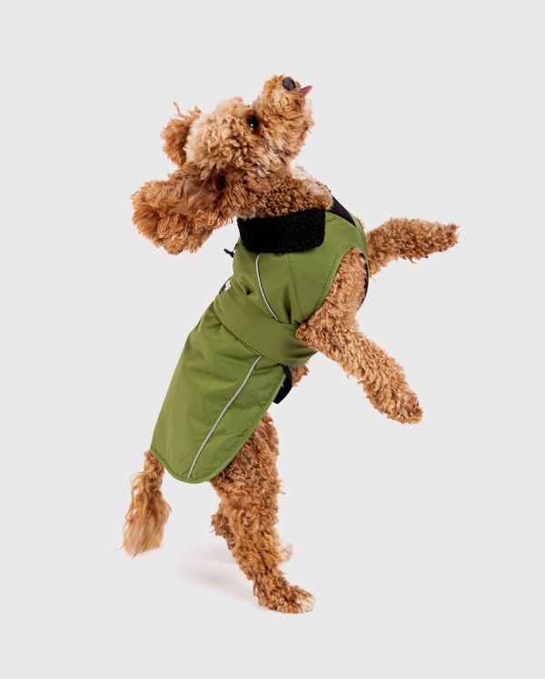 dryrobe Dog - Forest Green Black - Image 3