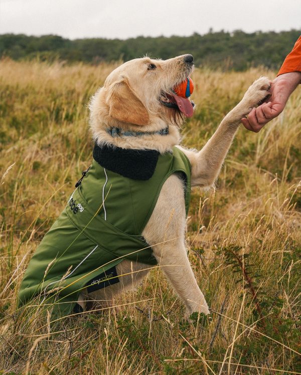 dryrobe Dog - Forest Green Black - Image 9